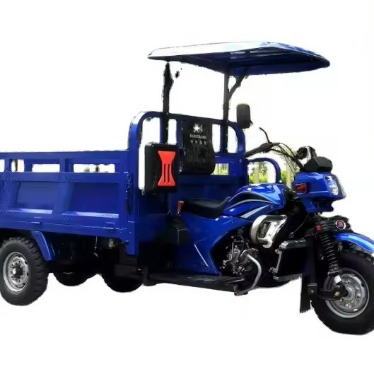 Dump Tricycle Motorcycle Cargo 150cc 200cc Motor Cargo Tricycle Agricultural Three Wheeled Motorcycle